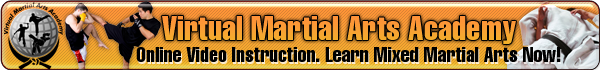 Virtual Martial Arts